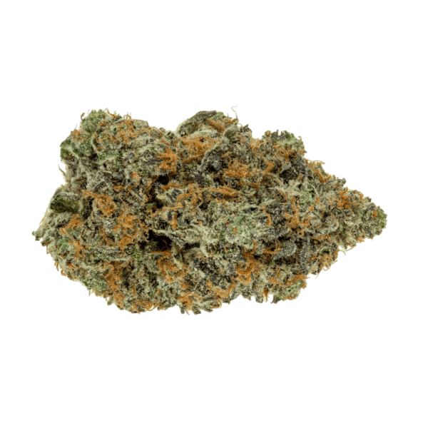 Northern Light CBD