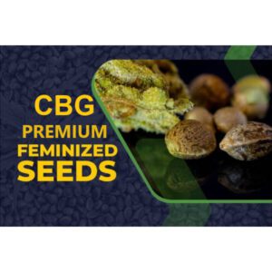 CBG Seeds