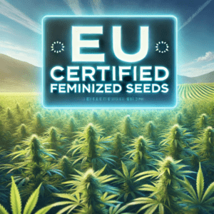 EU Certified Feminized