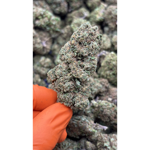 Cali Octane CBD