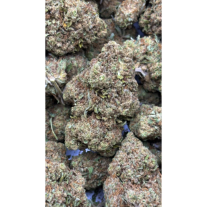 Gary Payton CBD