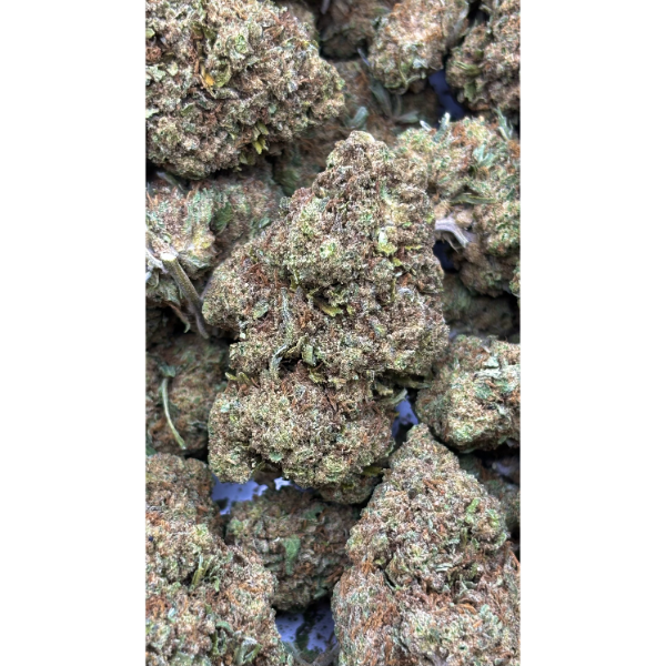 Gary Payton CBD