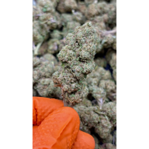 Lemon Mandarin CBD