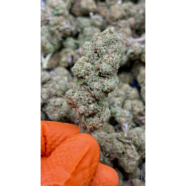 Lemon Mandarin CBD
