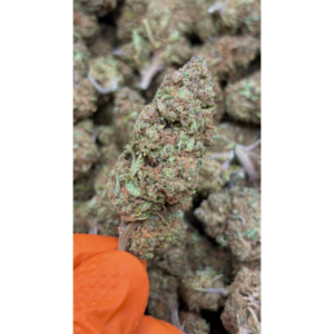 Lemon OG CBD
