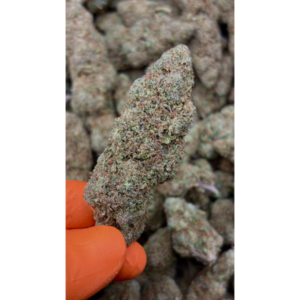 Mimosa CBD