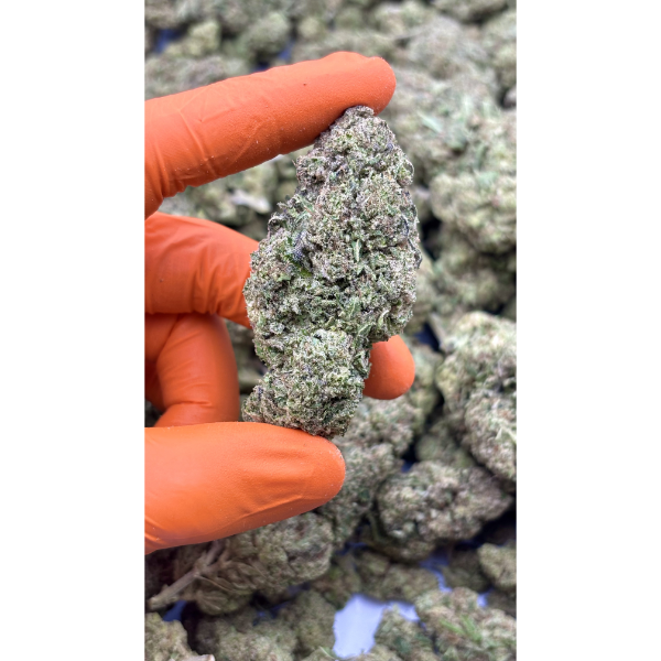 Panama Gold CBD