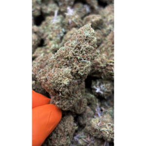 Slush Mint CBD