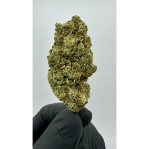 Tropical Mango CBD